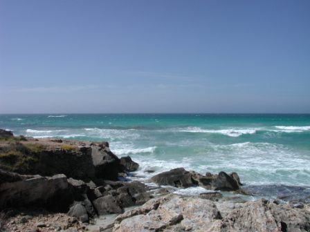 Beach near Sa Rapita